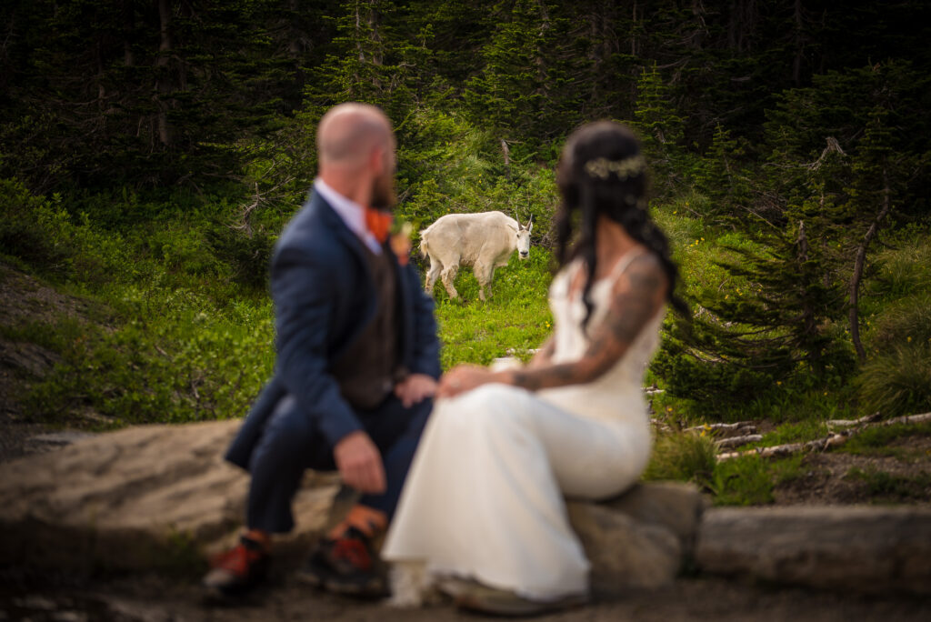 Elopement in Glacier National Park 